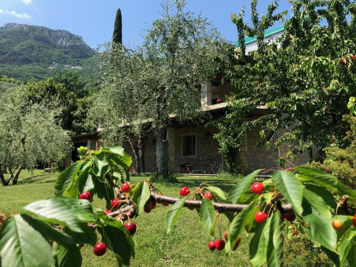 Bed and Breakfast La Cascata Negli Ulivi Toscolano Maderno Exteriér fotografie