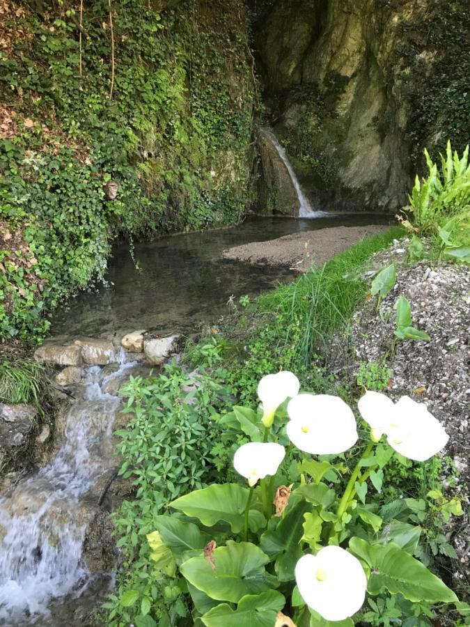 Bed and Breakfast La Cascata Negli Ulivi Toscolano Maderno Exteriér fotografie